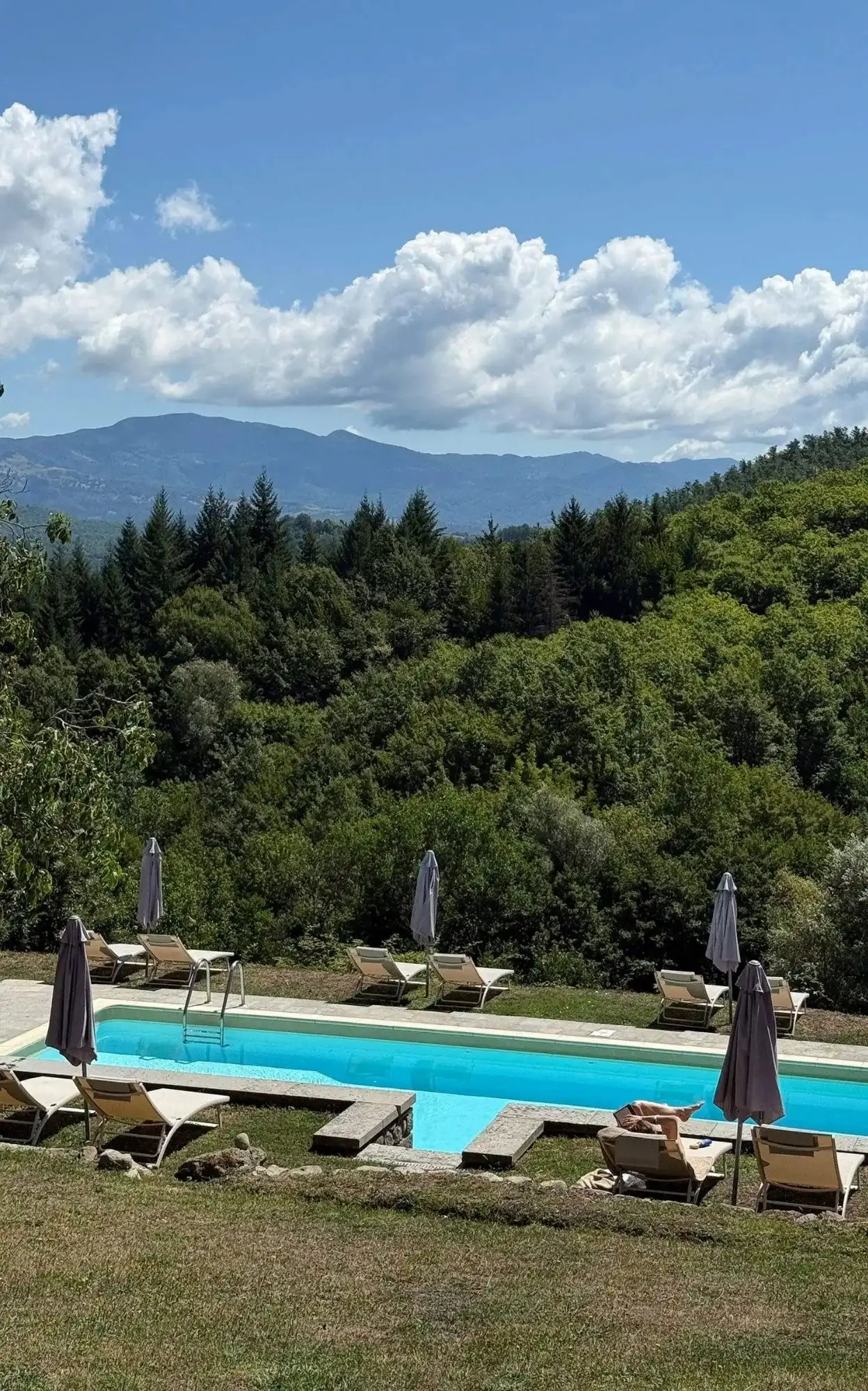 Pool with forest views at Il Vigno Tuscany